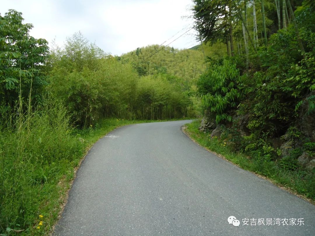 安吉别墅出租_安吉桃花源别墅二手房_安吉出租房源