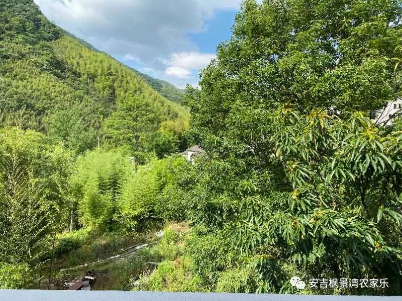 安吉出租房源_安吉桃花源别墅二手房_安吉别墅出租