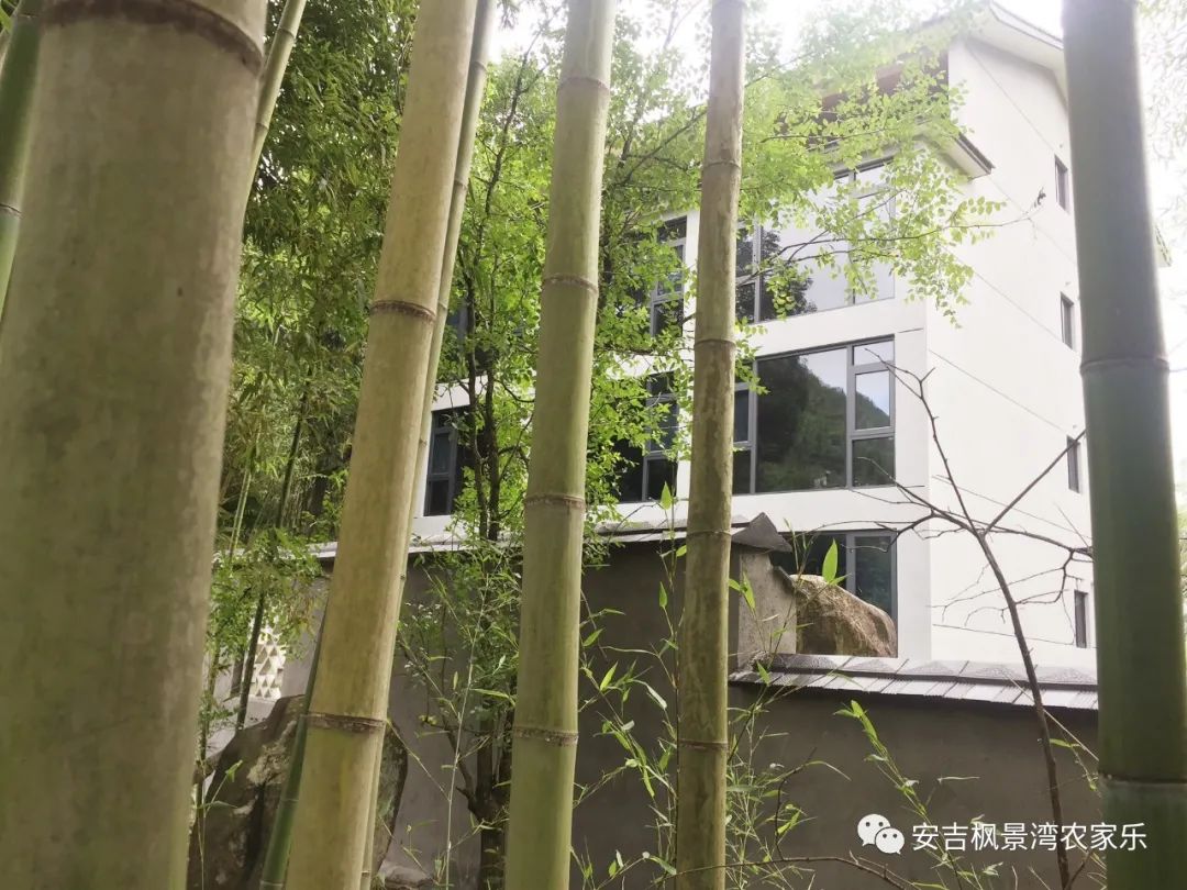 安吉出租房源_安吉桃花源别墅二手房_安吉别墅出租