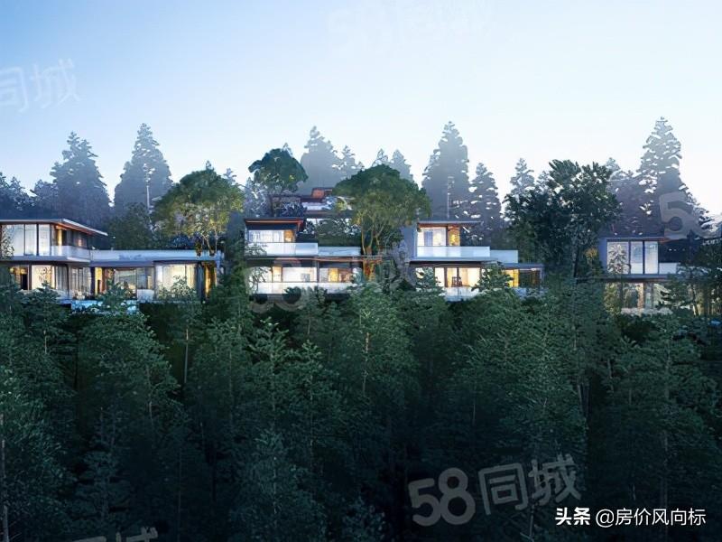 安吉竹博园官网_安吉竹博园_安吉檀香园二手房
