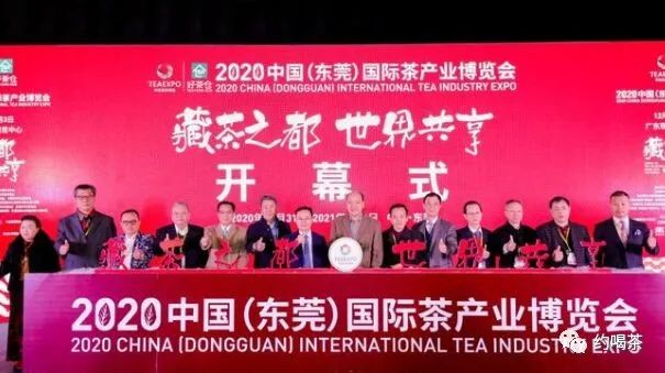 溧阳白茶安吉白茶_中国十大茶叶安吉白茶为什么没有_安吉白茶 白茶