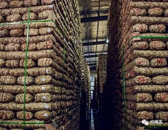 中国十大茶叶安吉白茶为什么没有_溧阳白茶安吉白茶_安吉白茶 白茶