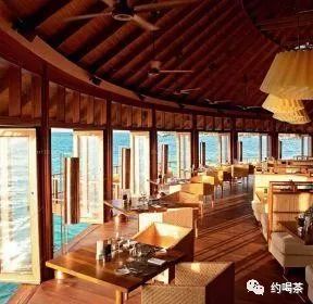 安吉白茶 白茶_中国十大茶叶安吉白茶为什么没有_溧阳白茶安吉白茶
