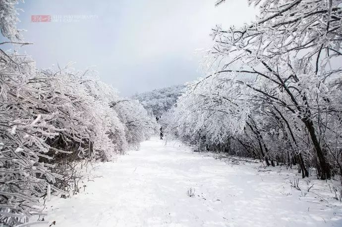 安吉温泉滑雪_安吉滑雪温泉套票_鄢陵花都温泉小镇住宿泡温泉套票