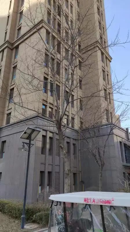 南宁房地产房门户-搜房房地产网_东营房地产网_房地人才网官网
