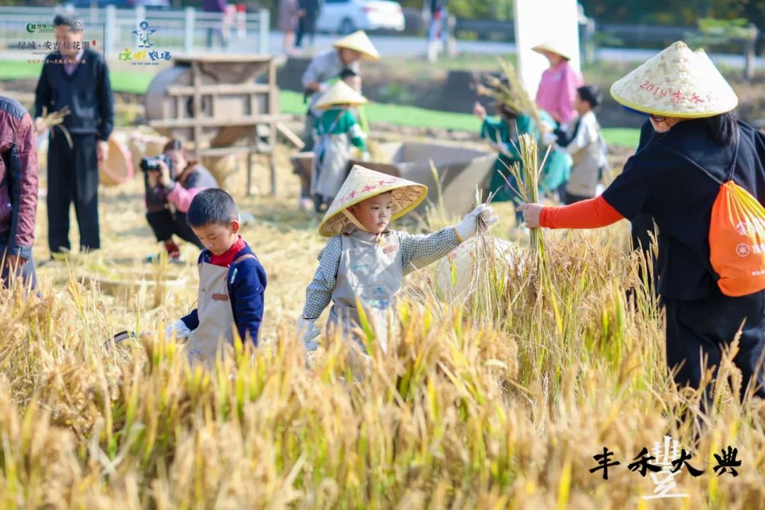 绿城安吉桃花源二手房_绿城安吉桃花源_安吉绿城桃花源