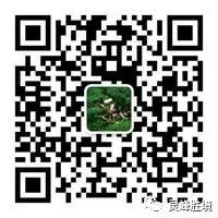 万荣孤峰山景区好玩吗_安吉灵峰山景区_安吉灵峰山景区好玩吗