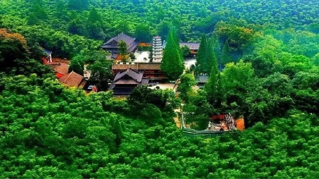 灵峰山度假区_安吉灵峰山景区_灵峰山森林公园