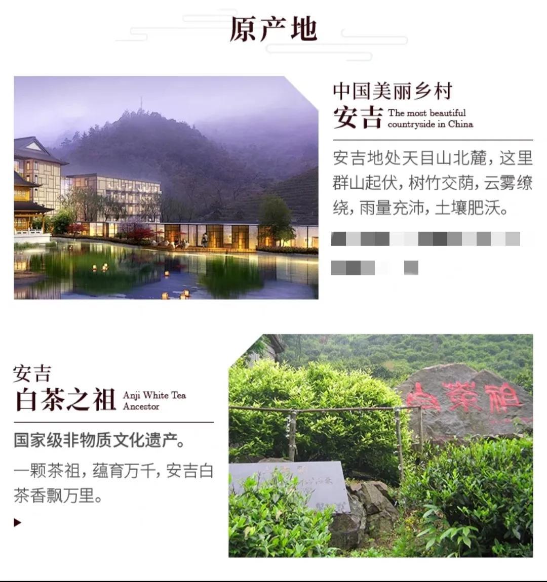 安吉白茶礼盒价格图片_安吉白茶包装礼盒_安吉白茶包装盒图片