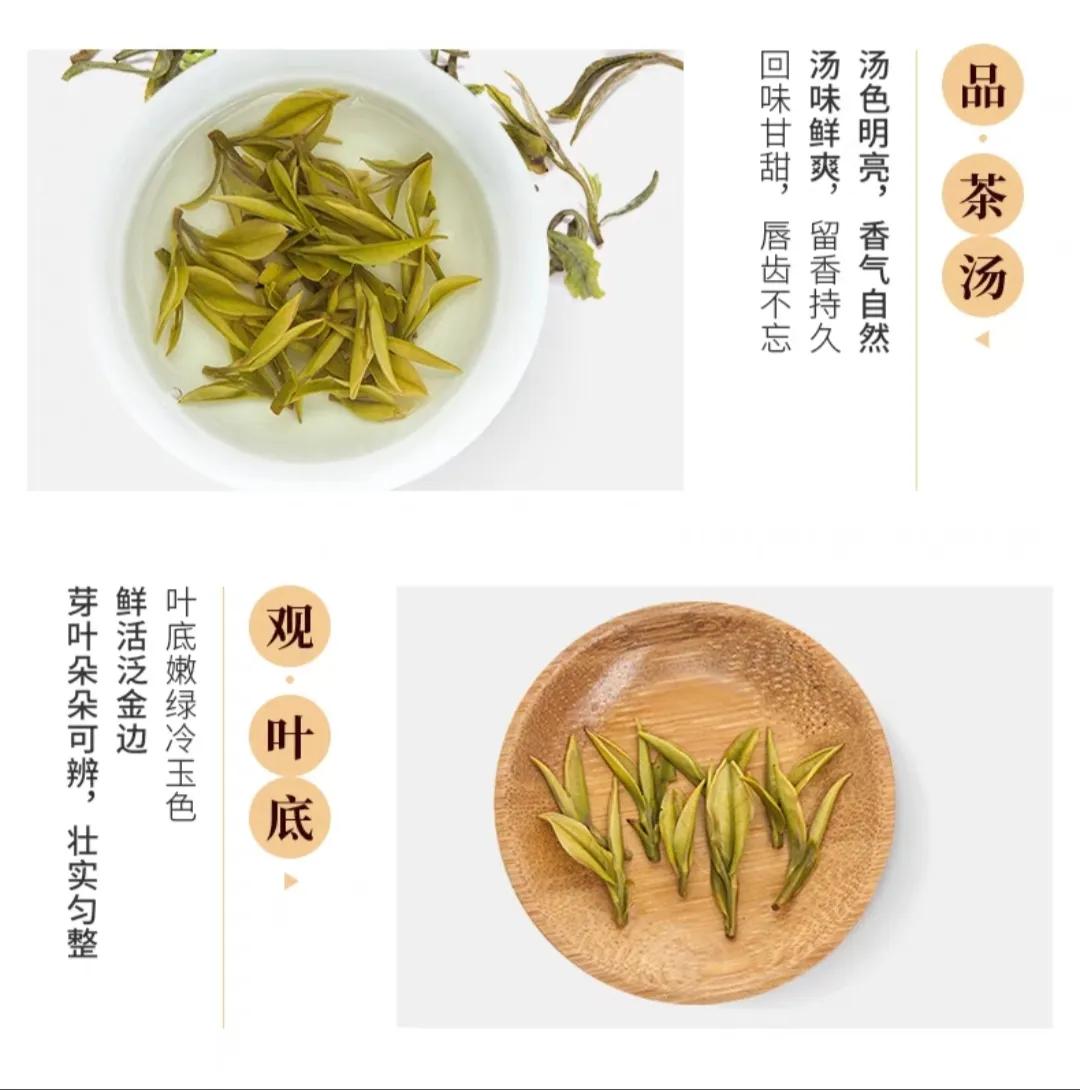 安吉白茶包装盒图片_安吉白茶包装礼盒_安吉白茶礼盒价格图片