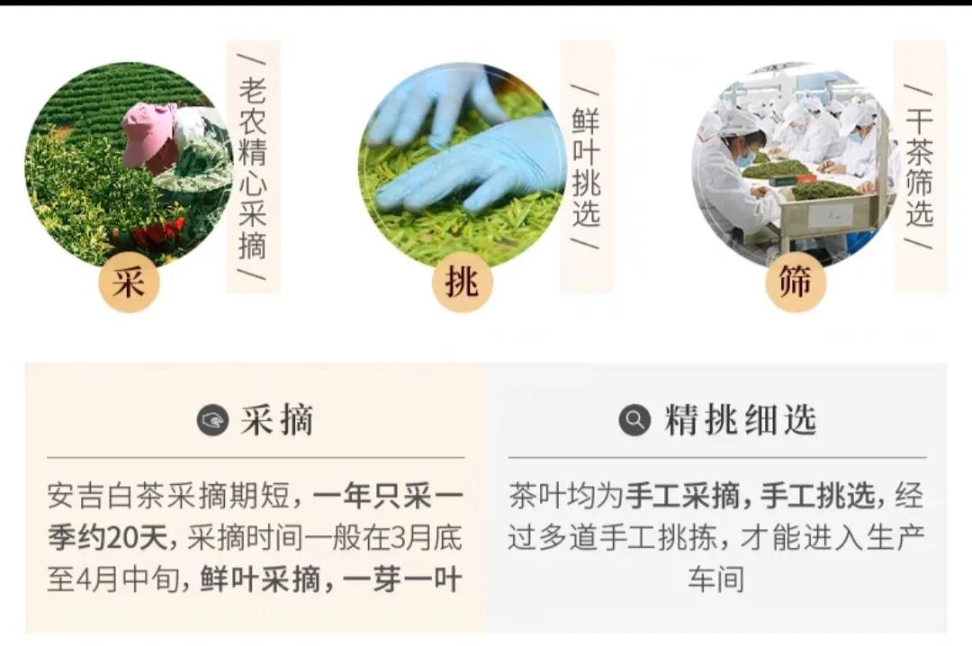 安吉白茶包装盒图片_安吉白茶包装礼盒_安吉白茶礼盒价格图片