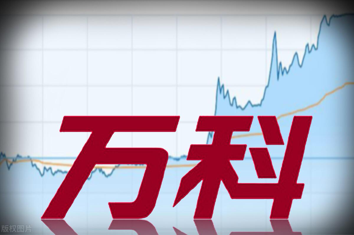 并购人力资源咨询项目_房地产项目并购案例_房地产项目并购案例