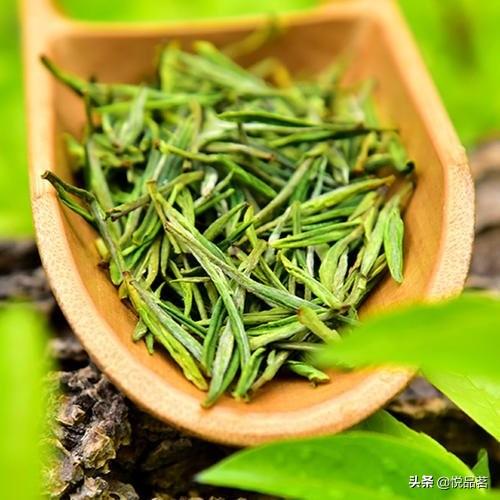 安吉白茶图片及价格表_安吉白茶包装盒图片_安吉白茶价格 包装