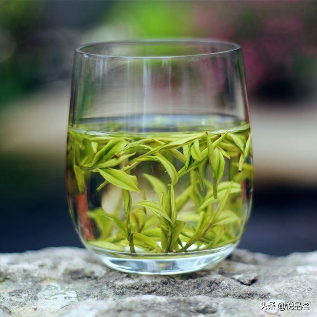 安吉白茶价格 包装_安吉白茶包装盒图片_安吉白茶图片及价格表