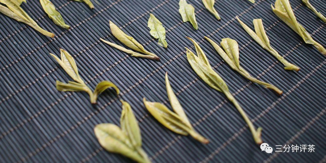 安吉白茶包装盒图片_安吉白茶茶园图片_安吉白茶图片大全