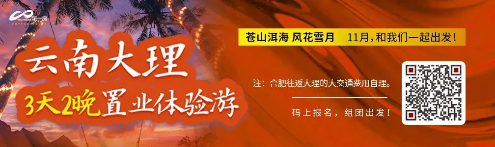 杨红旭看合肥楼市_合肥 楼市 需求_合肥楼市行情