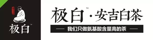 天目湖白茶和安吉白茶_溧阳白茶与安吉白茶的区别?_安吉白茶与溧阳白茶