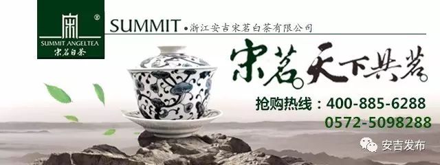 福鼎白茶安吉白茶_天目湖白茶和安吉白茶_安吉白茶特点
