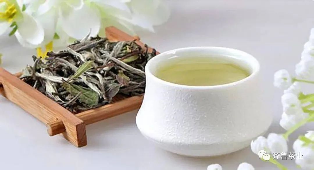 安吉白茶和龙井的区别_溧阳白茶与安吉白茶的区别?_龙井和安吉白茶的区别
