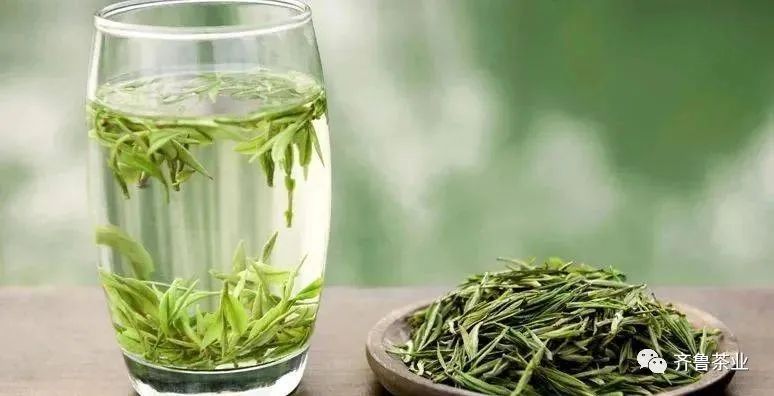 溧阳白茶与安吉白茶的区别?_龙井和安吉白茶的区别_安吉白茶和龙井的区别