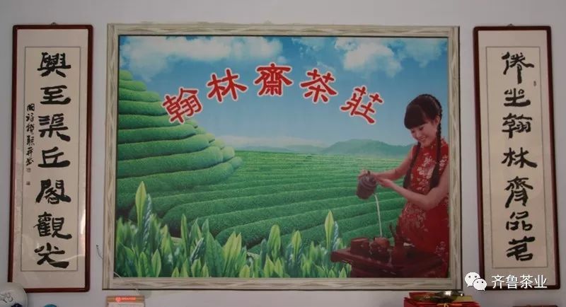 安吉白茶和龙井的区别_龙井和安吉白茶的区别_溧阳白茶与安吉白茶的区别?