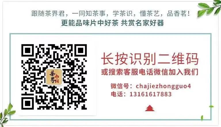 安吉白茶特点_安吉白茶和白茶的区别_安吉白茶与福鼎白茶