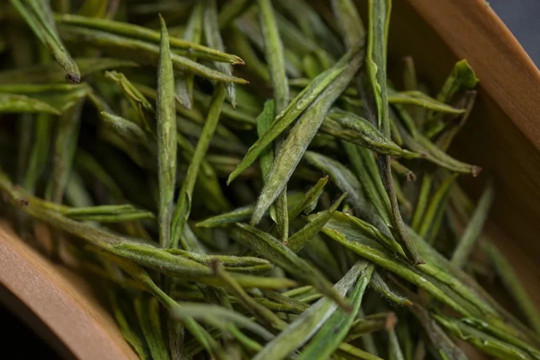 安吉白茶特点_安吉白茶和白茶的区别_安吉白茶与福鼎白茶