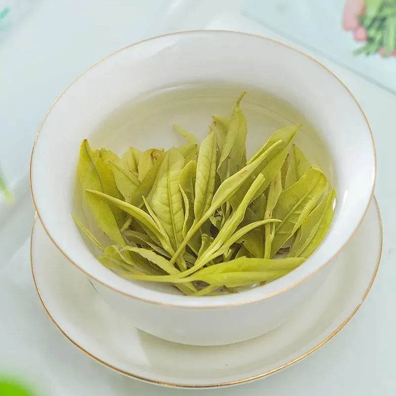 安吉白茶与福鼎白茶_安吉白茶特点_安吉白茶和白茶的区别
