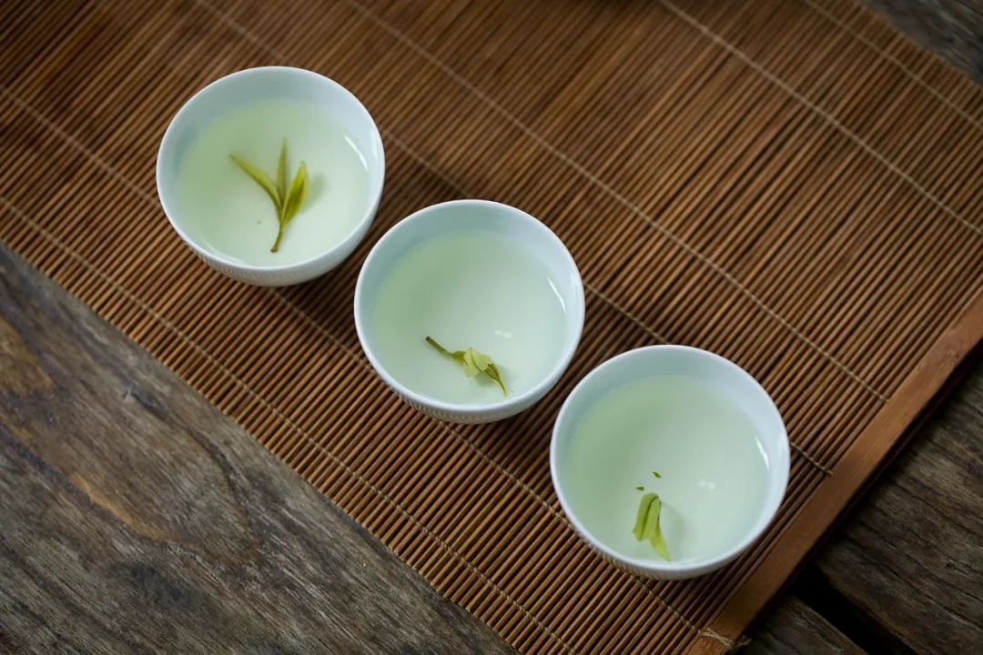 安吉白茶和白茶的区别_安吉白茶与福鼎白茶_安吉白茶特点