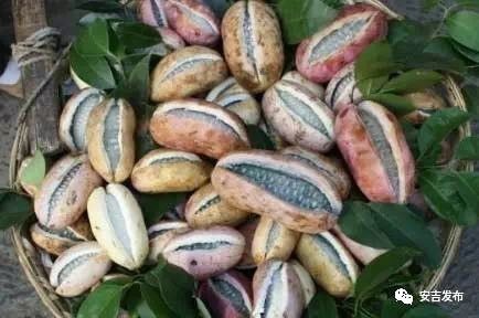 安吉玄妙堂竹制品有限公司_家味红辣椒农家风味土菜馆怎么样_安吉高家堂农家乐