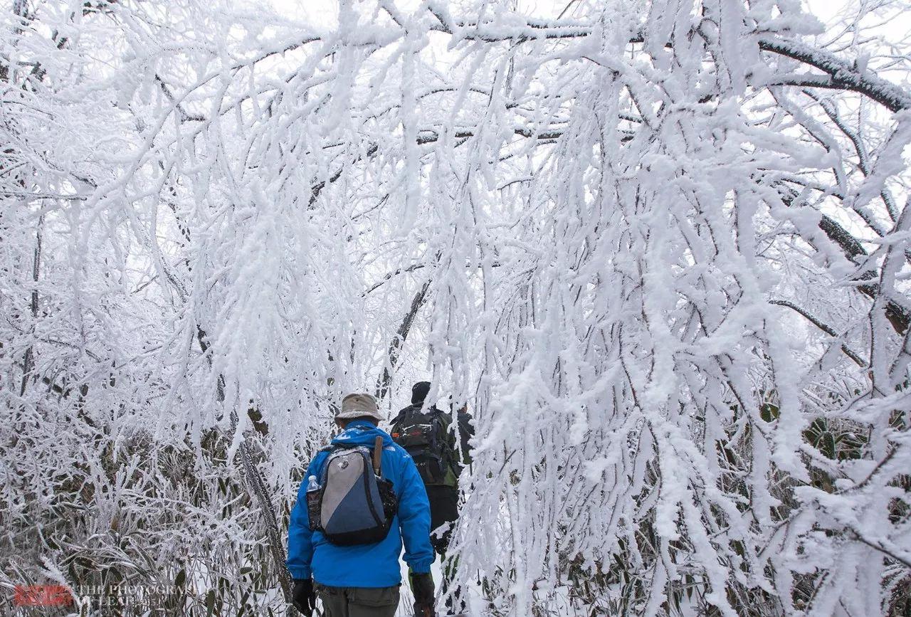 安吉滑雪注意事项_安吉滑雪图片_安吉滑雪温泉