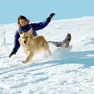 安吉滑雪温泉_安吉滑雪_安吉滑雪场什么时候有雪