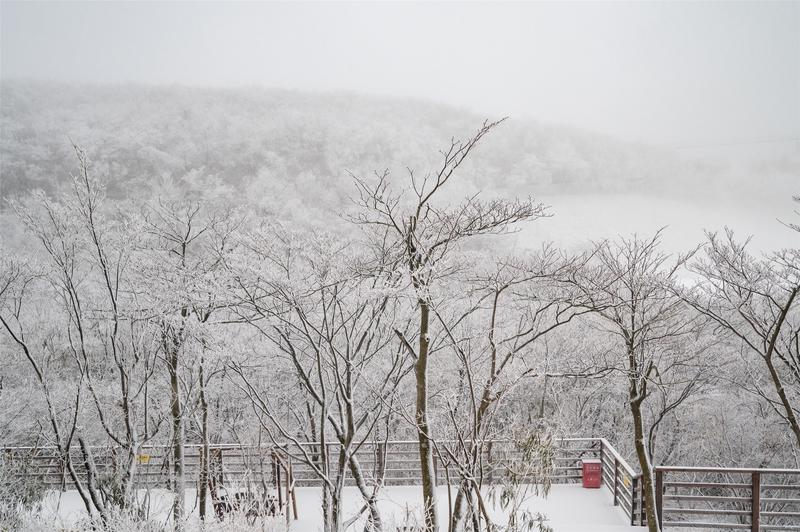 安吉滑雪场什么时候有雪_安吉滑雪旅游攻略_安吉滑雪温泉套票