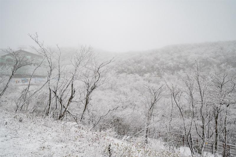 安吉滑雪温泉套票_安吉滑雪旅游攻略_安吉滑雪场什么时候有雪