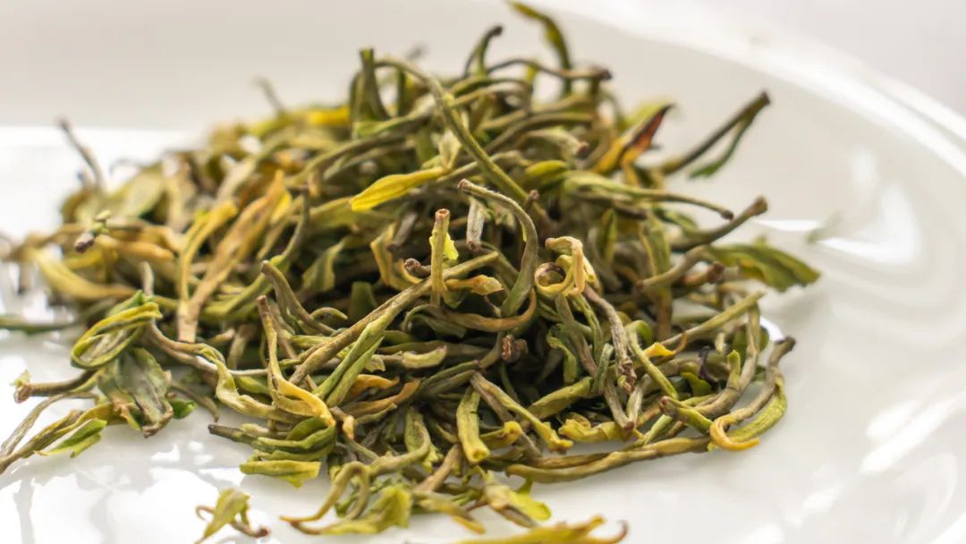 福鼎白茶 安吉白茶_安吉白茶和宁波白茶_安吉白茶有哪些品牌