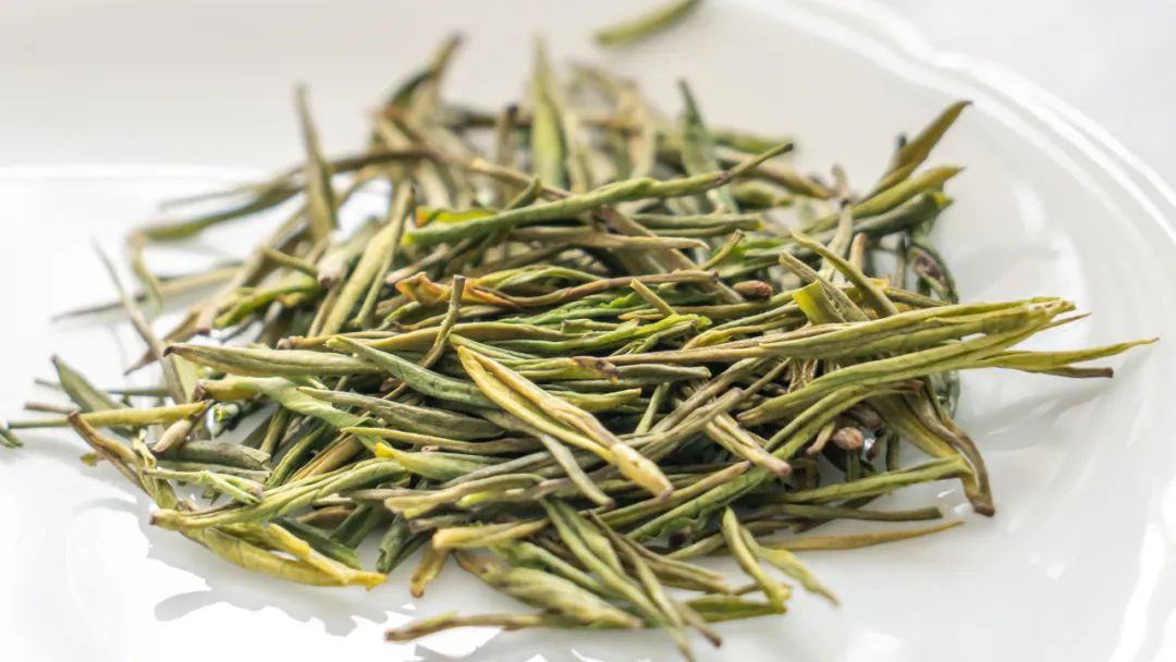 安吉白茶和宁波白茶_安吉白茶有哪些品牌_福鼎白茶 安吉白茶