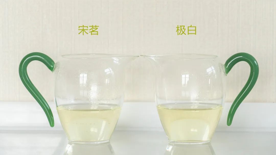 安吉白茶有哪些品牌_安吉白茶和宁波白茶_福鼎白茶 安吉白茶