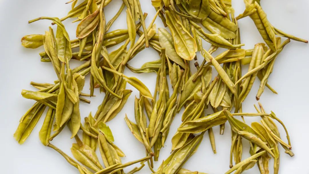 安吉白茶和宁波白茶_福鼎白茶 安吉白茶_安吉白茶有哪些品牌