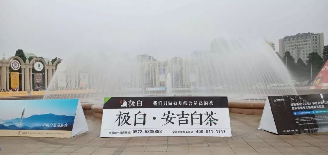安吉白茶有哪些品牌_安吉白茶高端品牌_安吉白茶 福鼎白茶