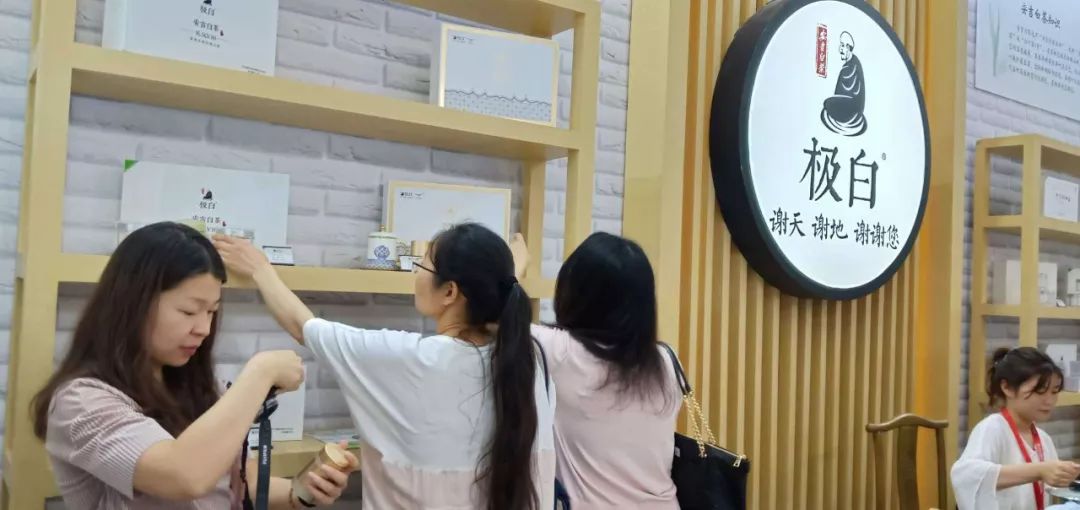 安吉白茶 福鼎白茶_安吉白茶高端品牌_安吉白茶有哪些品牌