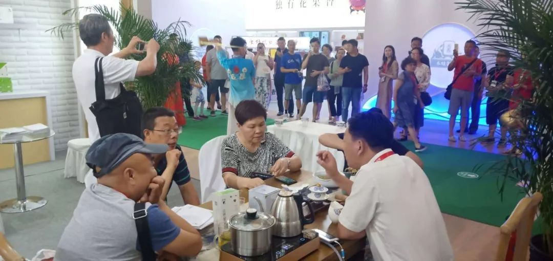 安吉白茶 福鼎白茶_安吉白茶高端品牌_安吉白茶有哪些品牌