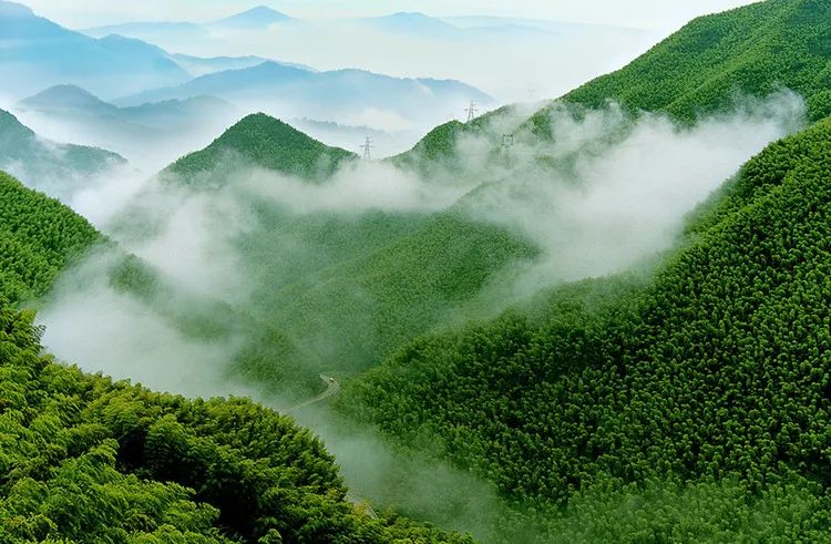 别墅出租出租公寓式住宅_安吉桃花源别墅_安吉别墅出租
