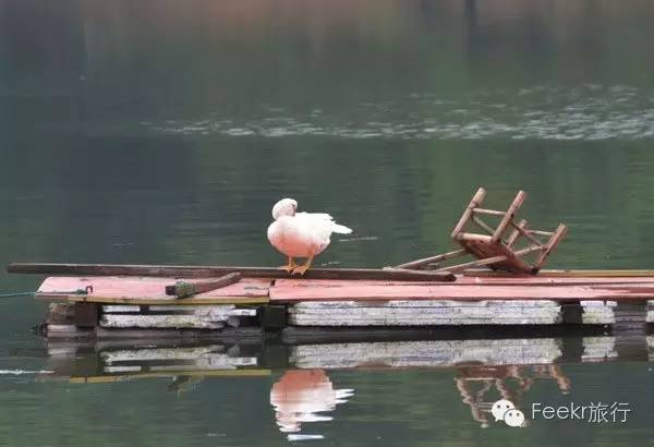 安吉递铺单身公寓出租_安吉别墅出租_安吉别墅出租