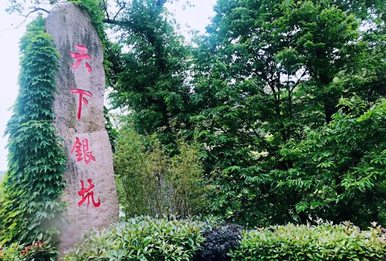 银利宠物学校坑不坑_安吉 天下银坑_坑爹皇妃坑天下 苻灵 小说