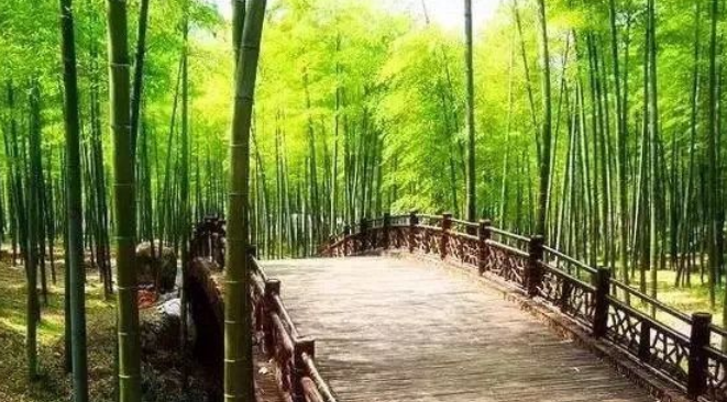 安吉 天下银坑_坑爹皇妃坑天下 苻灵 小说_银利宠物学校坑不坑