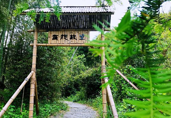 安吉 天下银坑_银利宠物学校坑不坑_坑爹皇妃坑天下 苻灵 小说