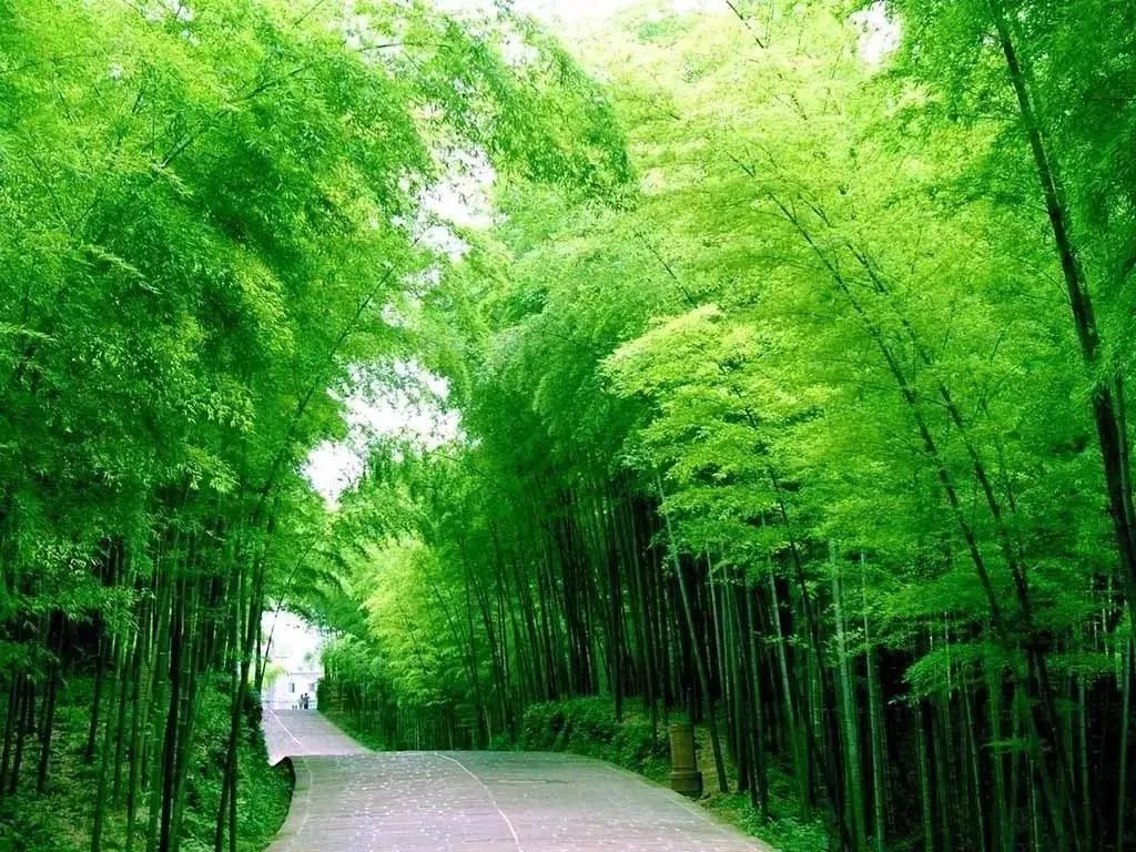 安吉滑雪温泉二日游_安吉滑雪温泉_安吉 温泉酒店