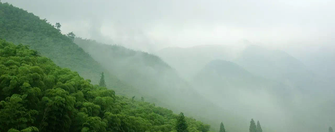安吉滑雪温泉_安吉 温泉酒店_安吉滑雪温泉二日游