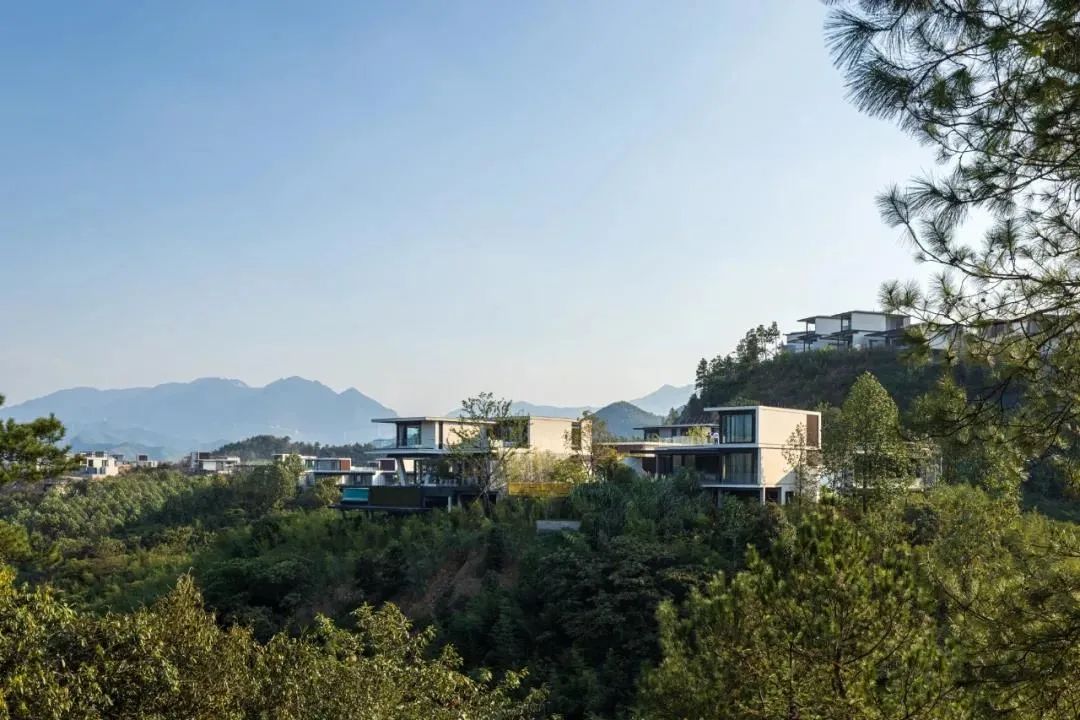 安吉绿城桃花源的弊端_安吉绿城桃花源青竹园_绿城安吉桃花源二手房