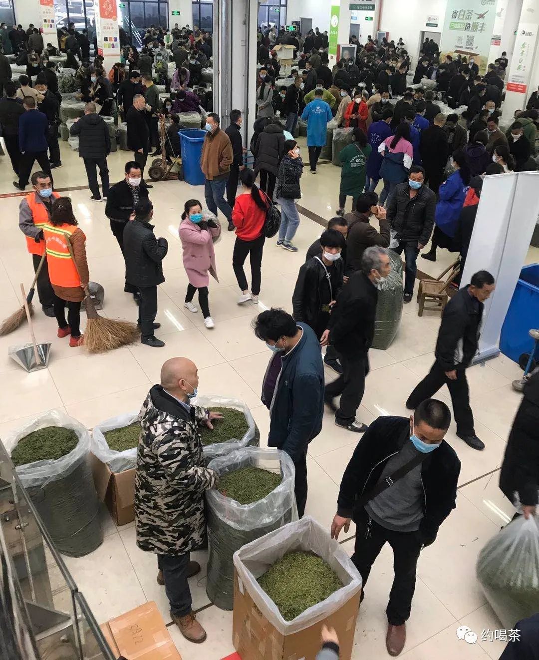安吉白茶的茶叶_安吉白茶叶官方旗舰店_安吉茶叶批发市场